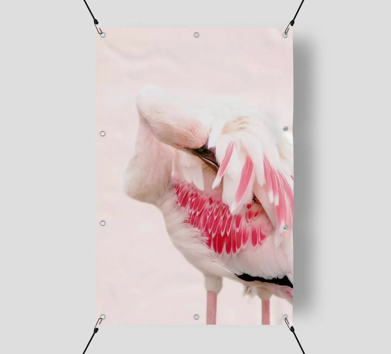 Flamingo Pink telo in pvc da Ingrid Beddoes