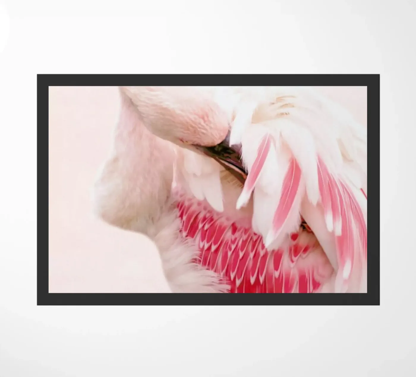 Flamingo Pink zerbino da Ingrid Beddoes