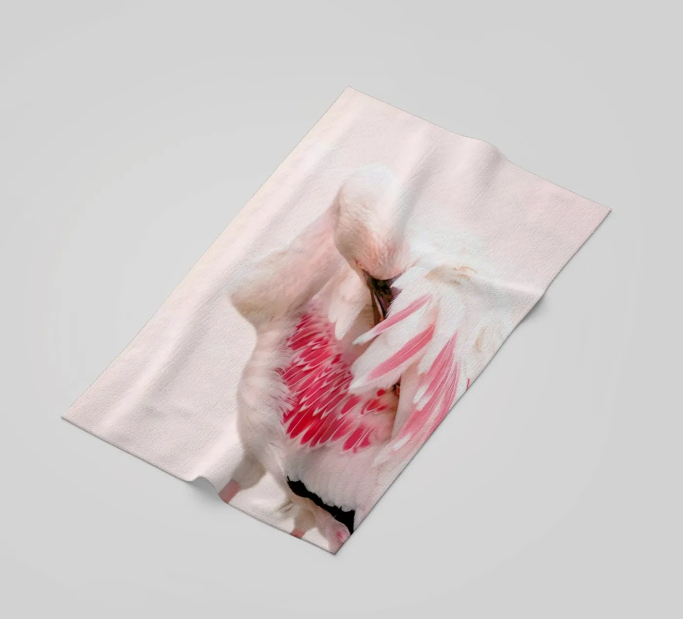 Flamingo Pink telo mare da Ingrid Beddoes
