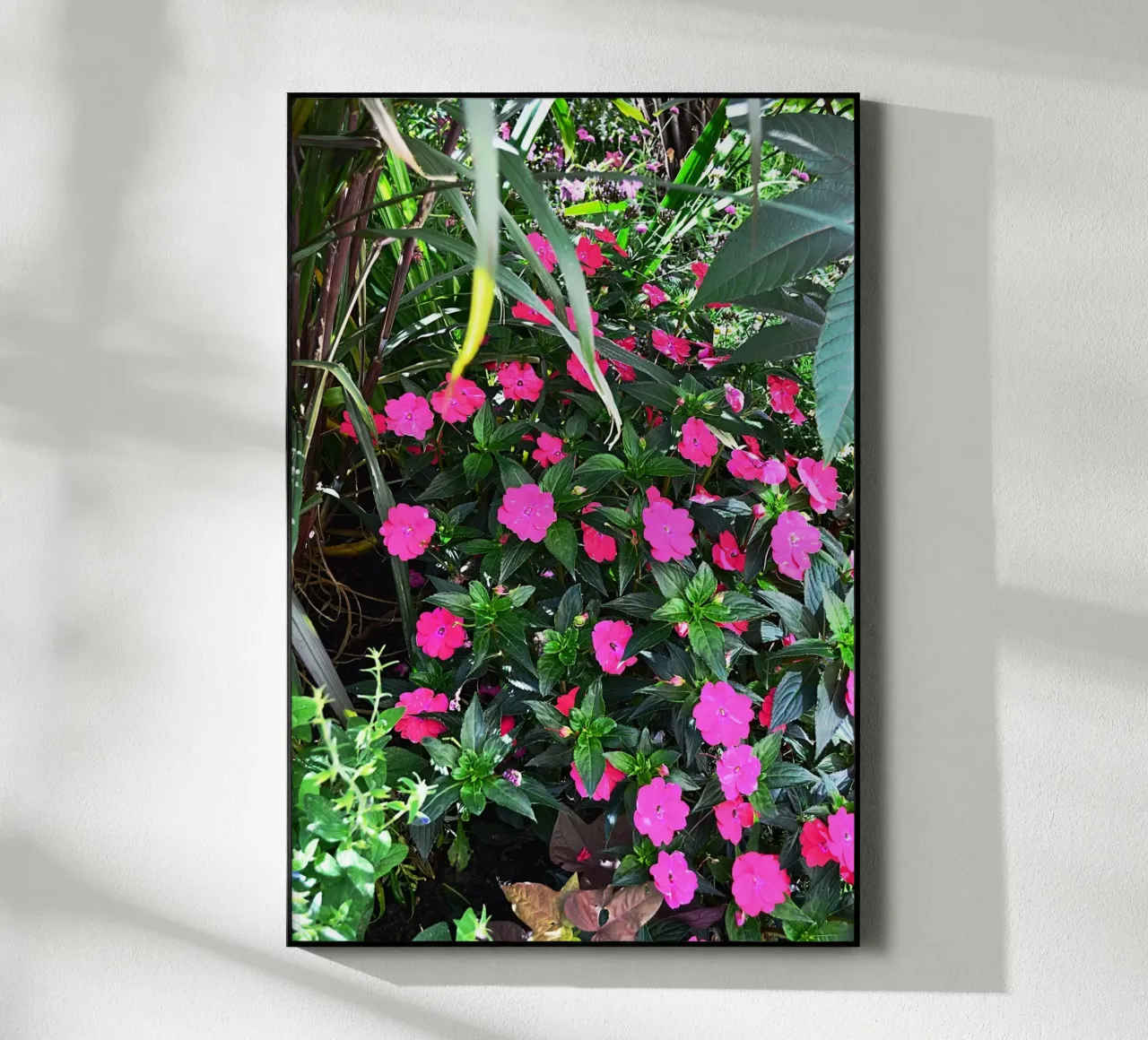 FAA249 plexiglass da Thierry vobmann photography