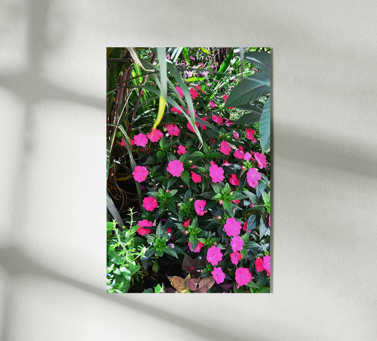 FAA249 plexiglass da Thierry vobmann photography