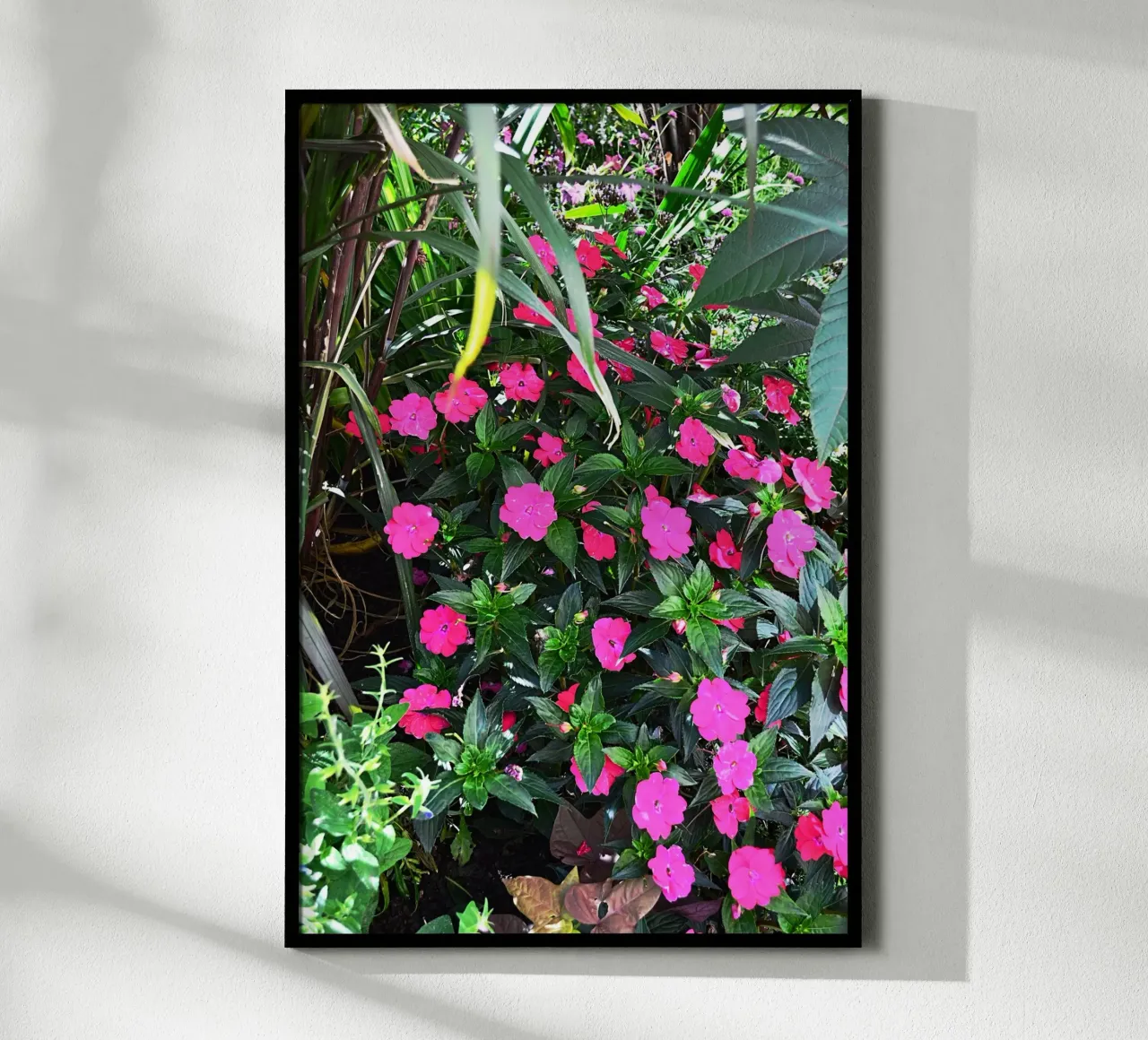 FAA249 poster da Thierry vobmann photography