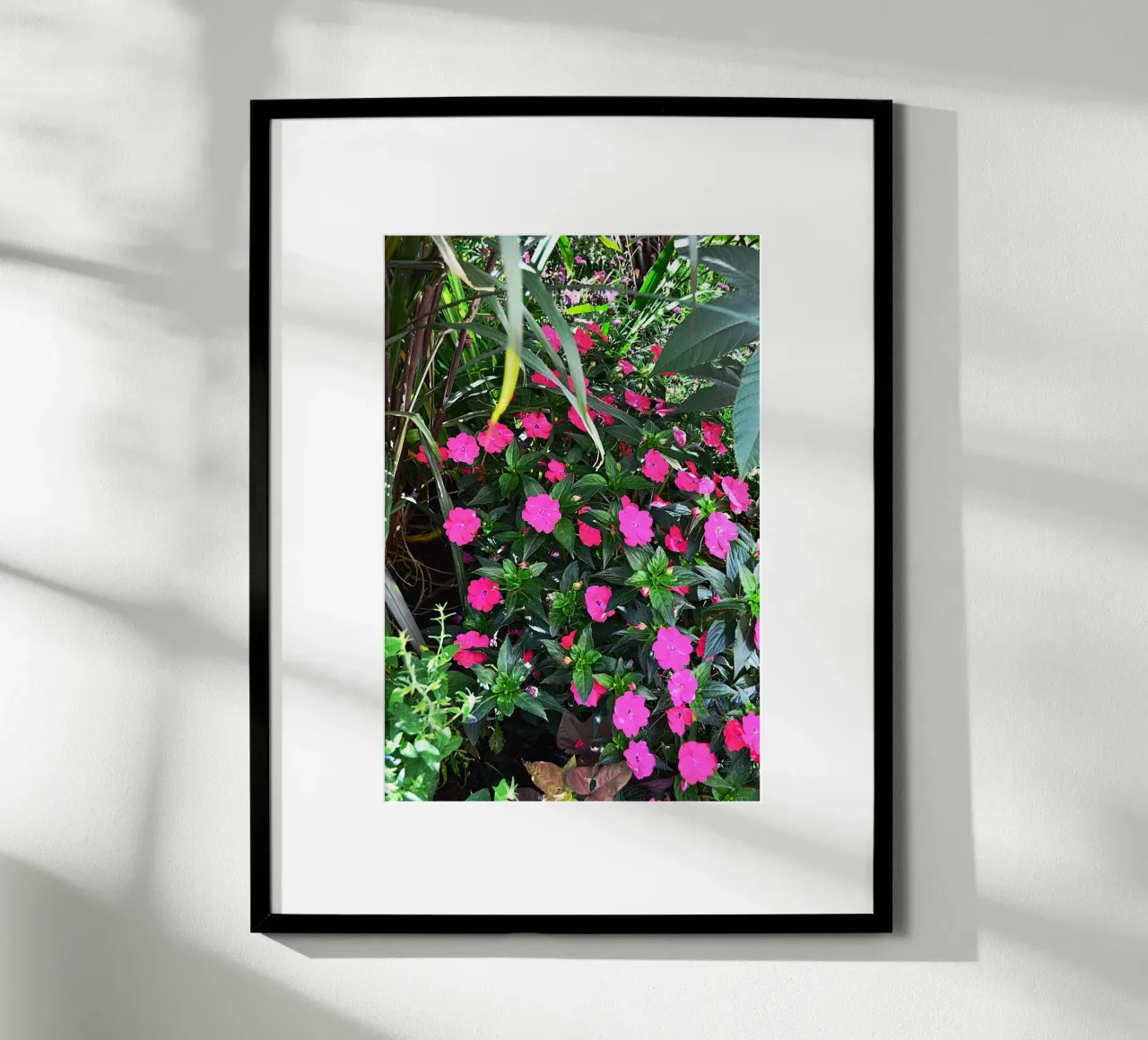 FAA249 poster da Thierry vobmann photography