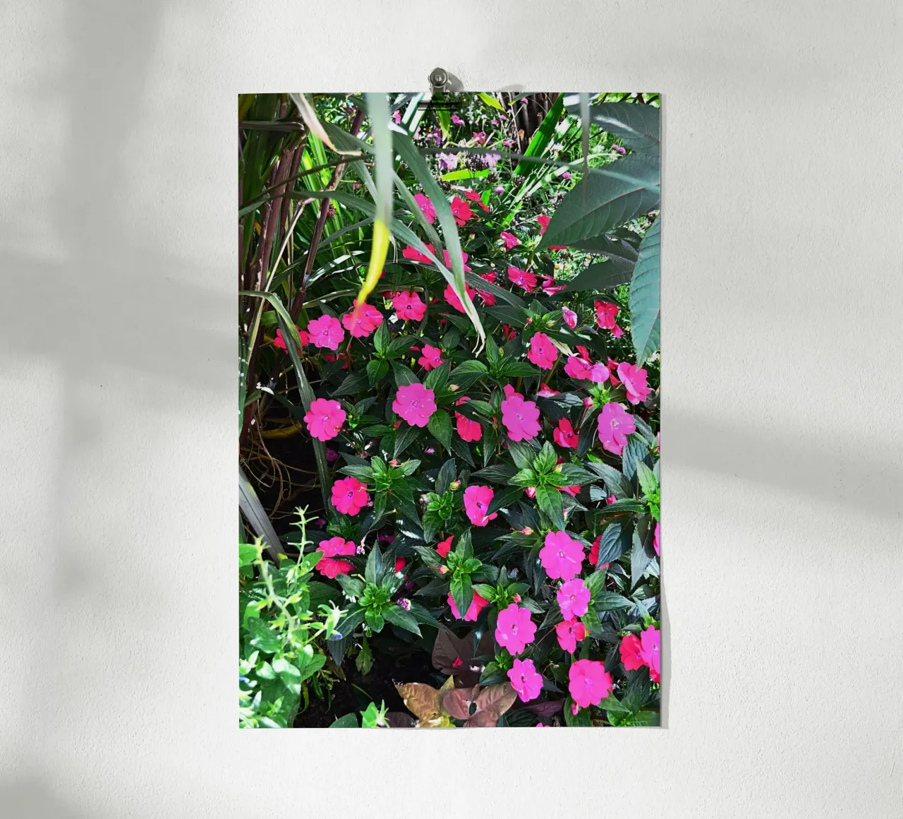 FAA249 poster da Thierry vobmann photography