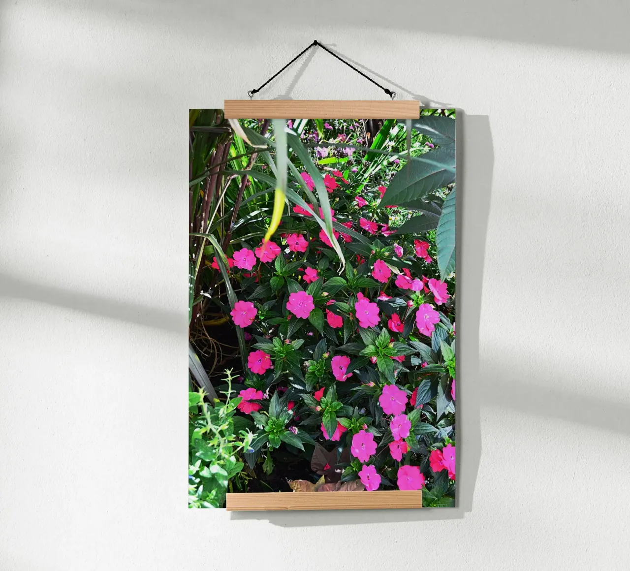 FAA249 poster da Thierry vobmann photography