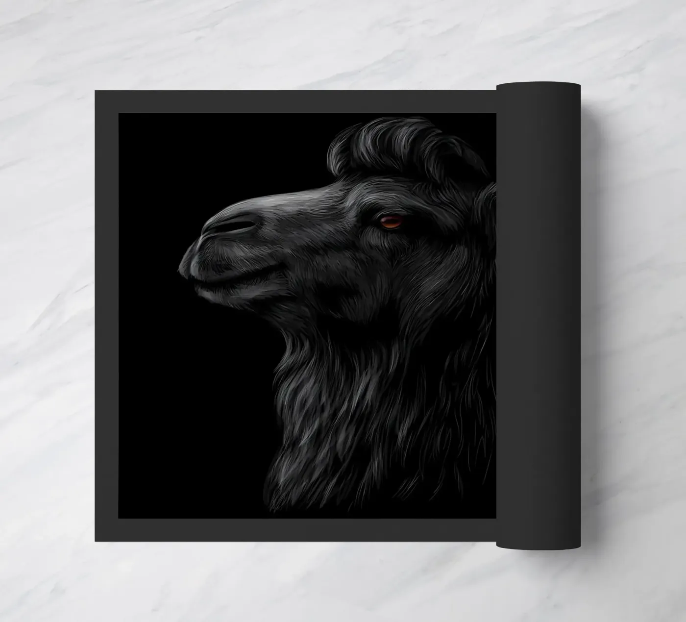 Camel zerbino da Delaplane