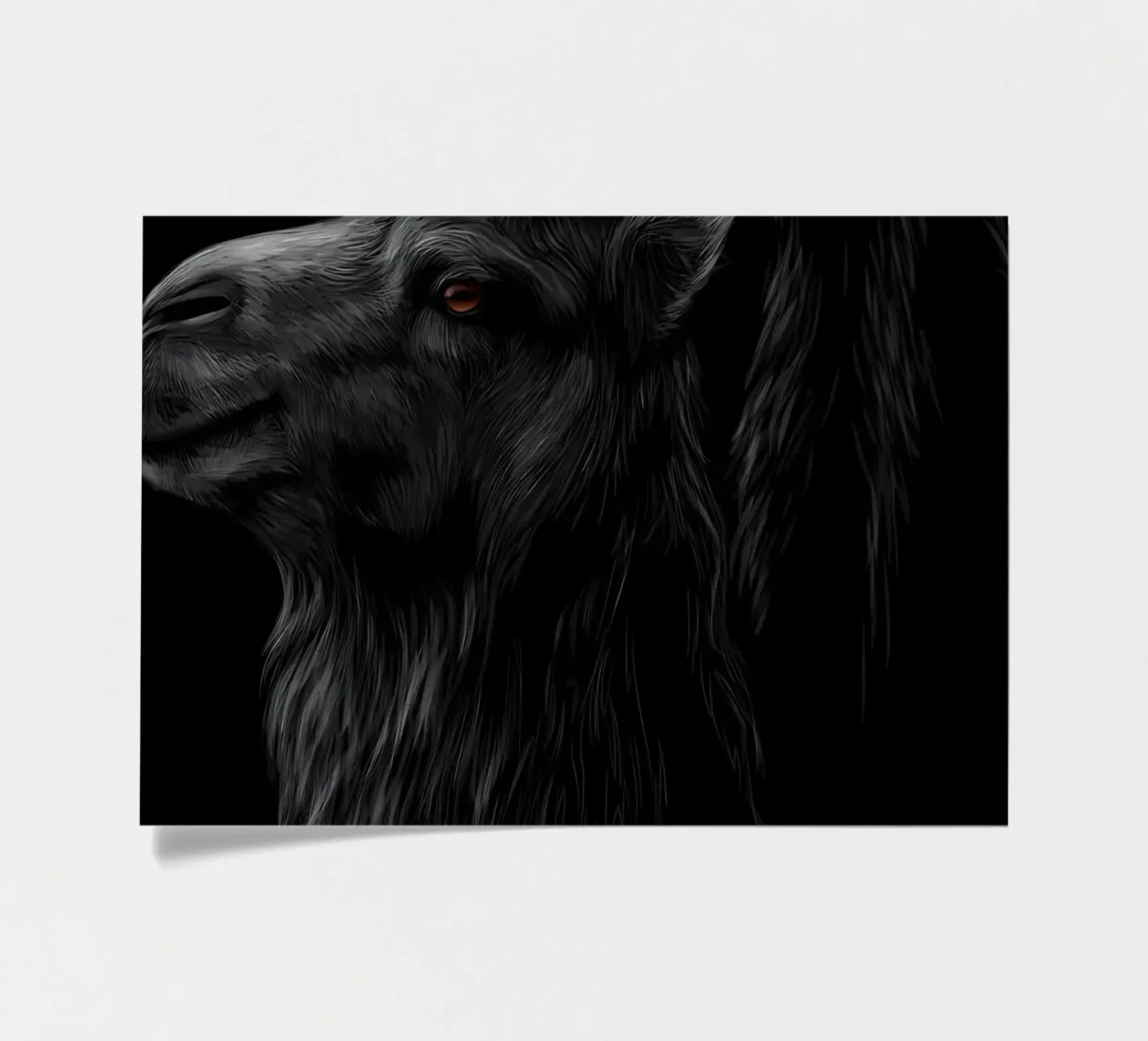 Camel sticker sheet by Delaplane