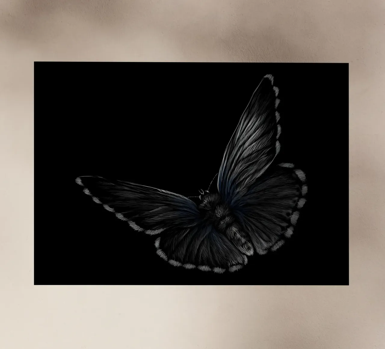 Farfalla pellicola backlit da Delaplane