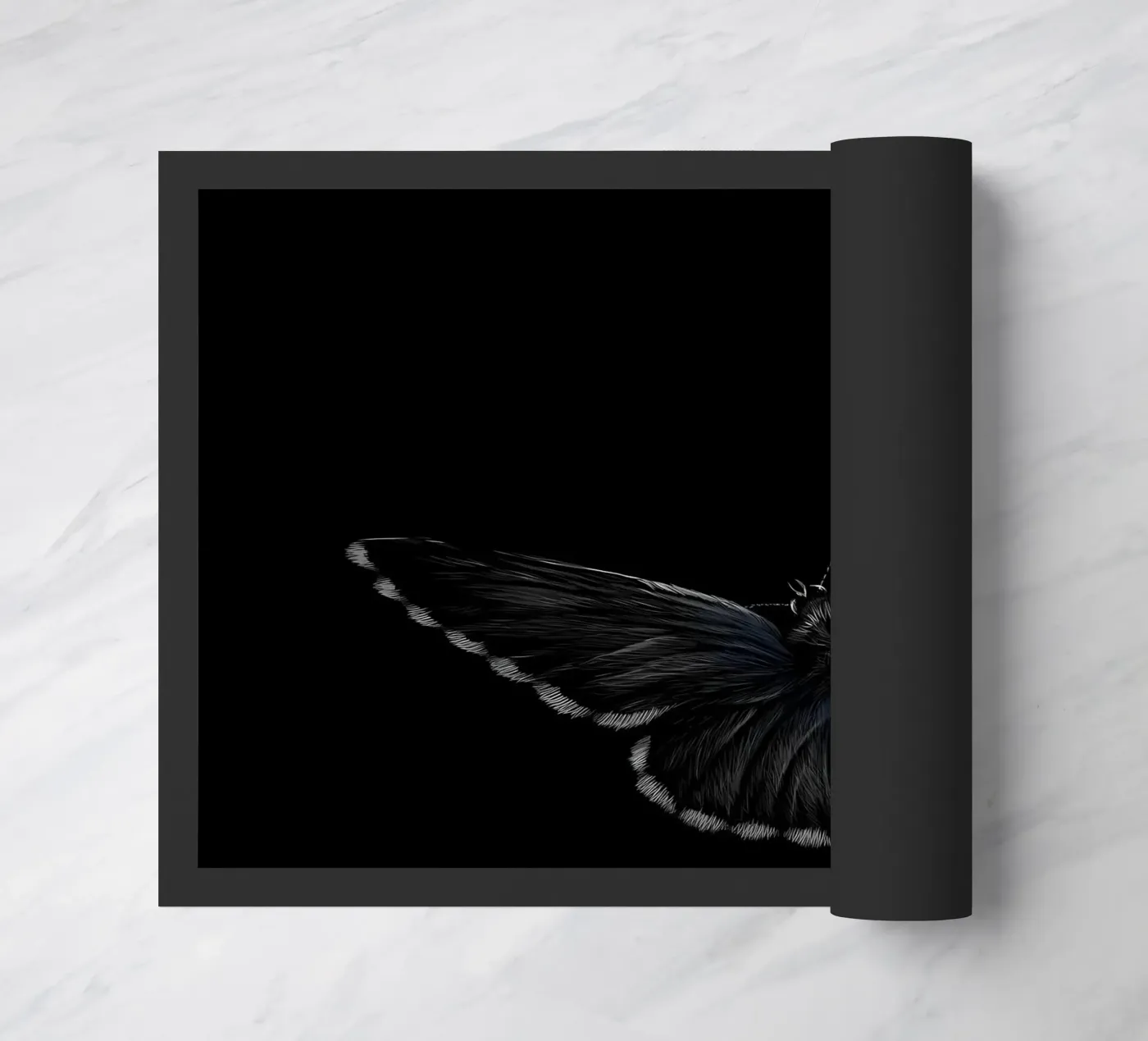 Papillon paillasson de Delaplane