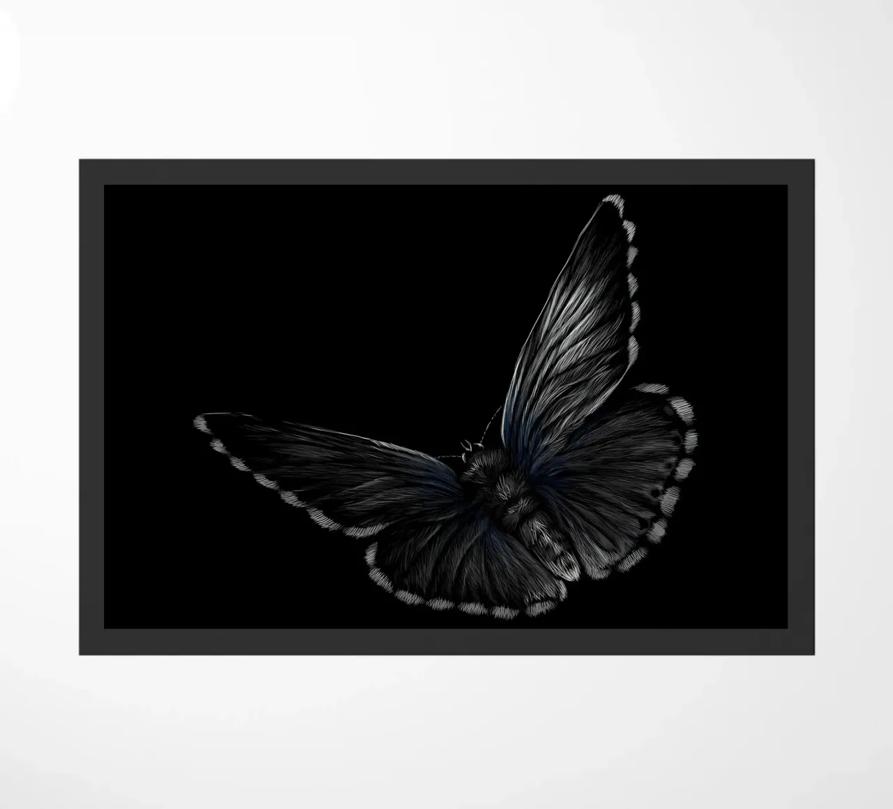 Farfalla zerbino da Delaplane