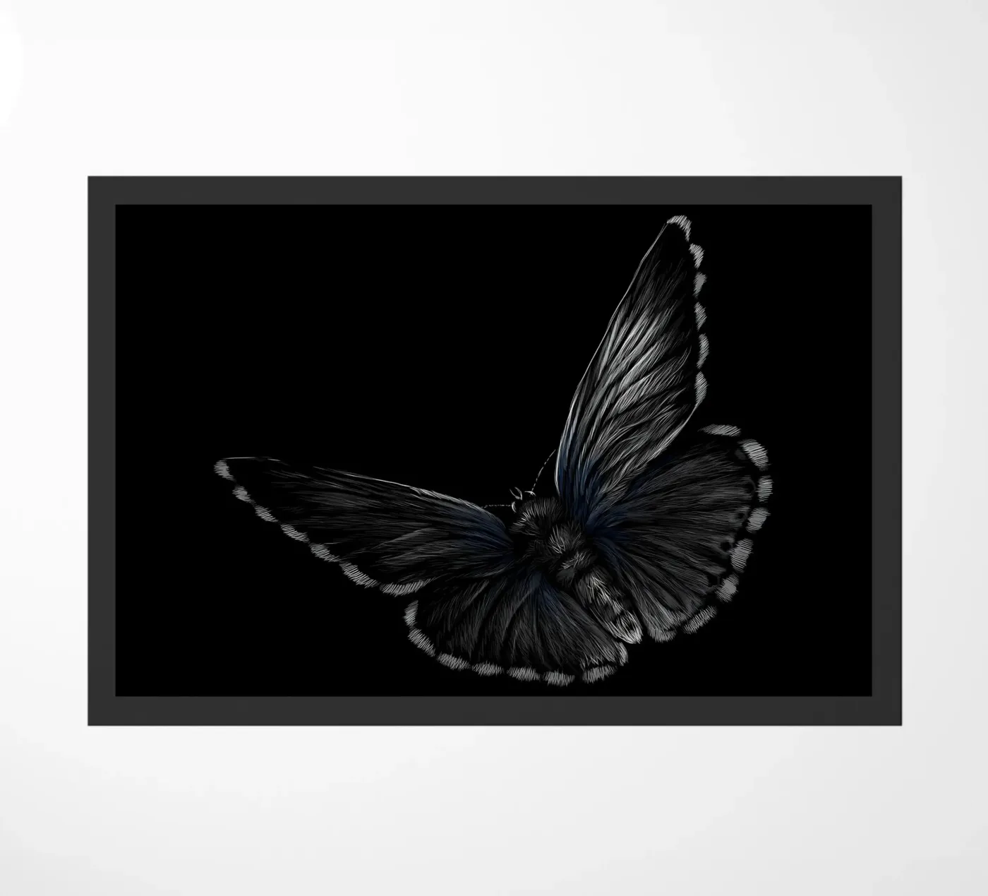 Papillon paillasson de Delaplane