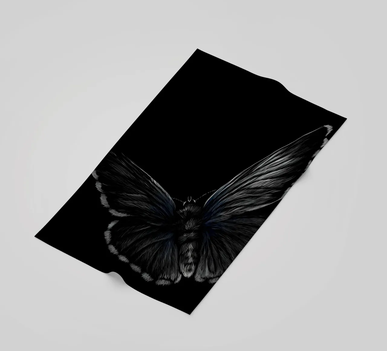 Farfalla telo mare da Delaplane