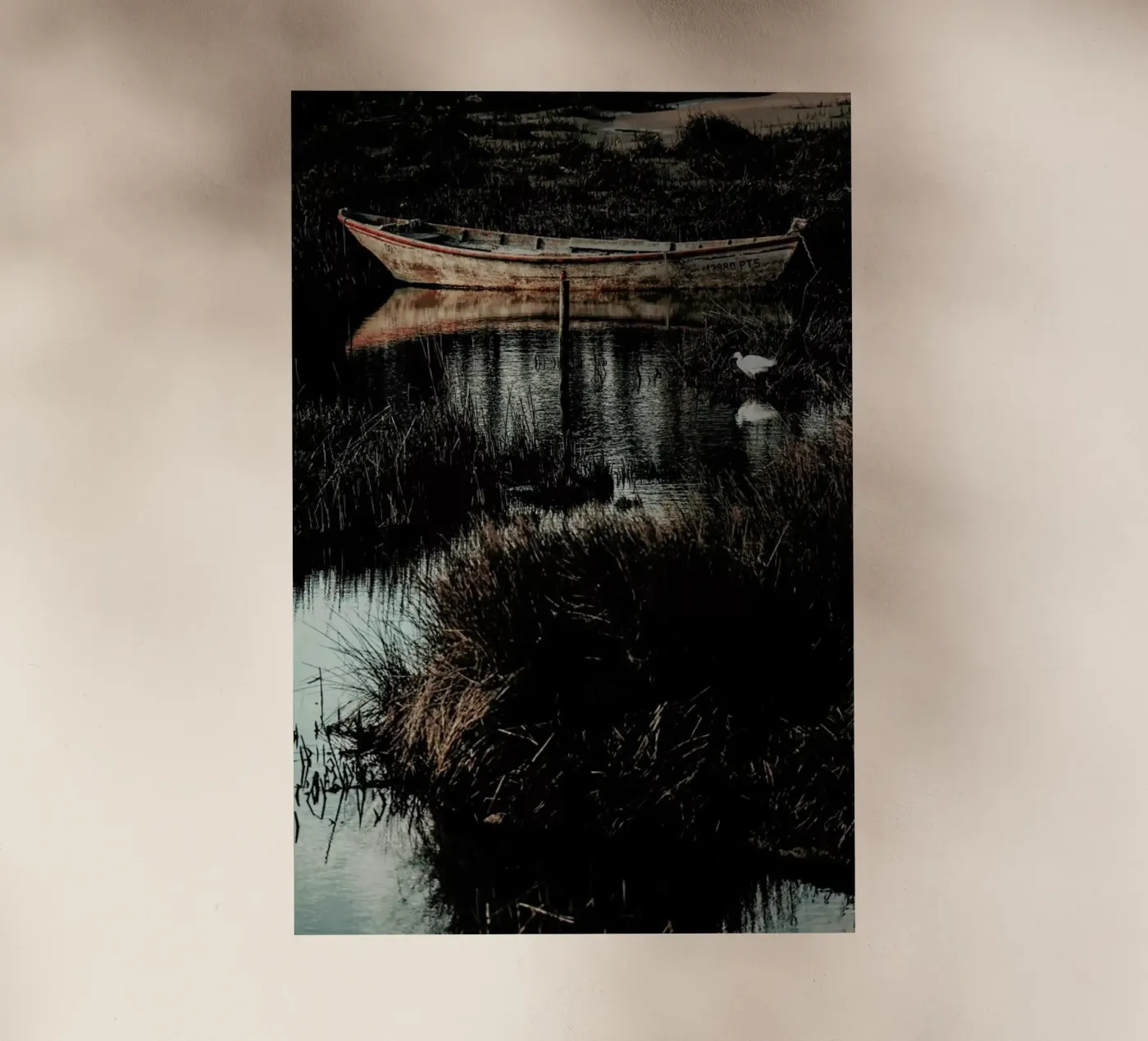 Solitude pellicola backlit da Ingrid Beddoes