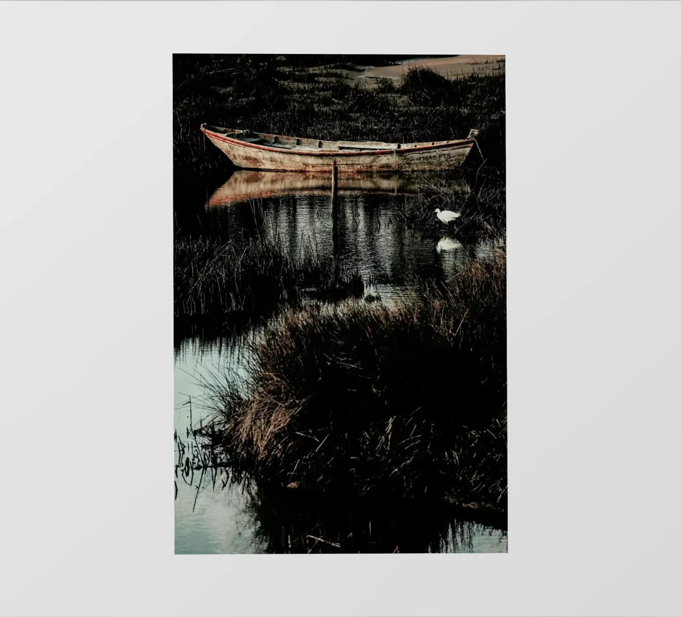 Solitude pellicola backlit da Ingrid Beddoes