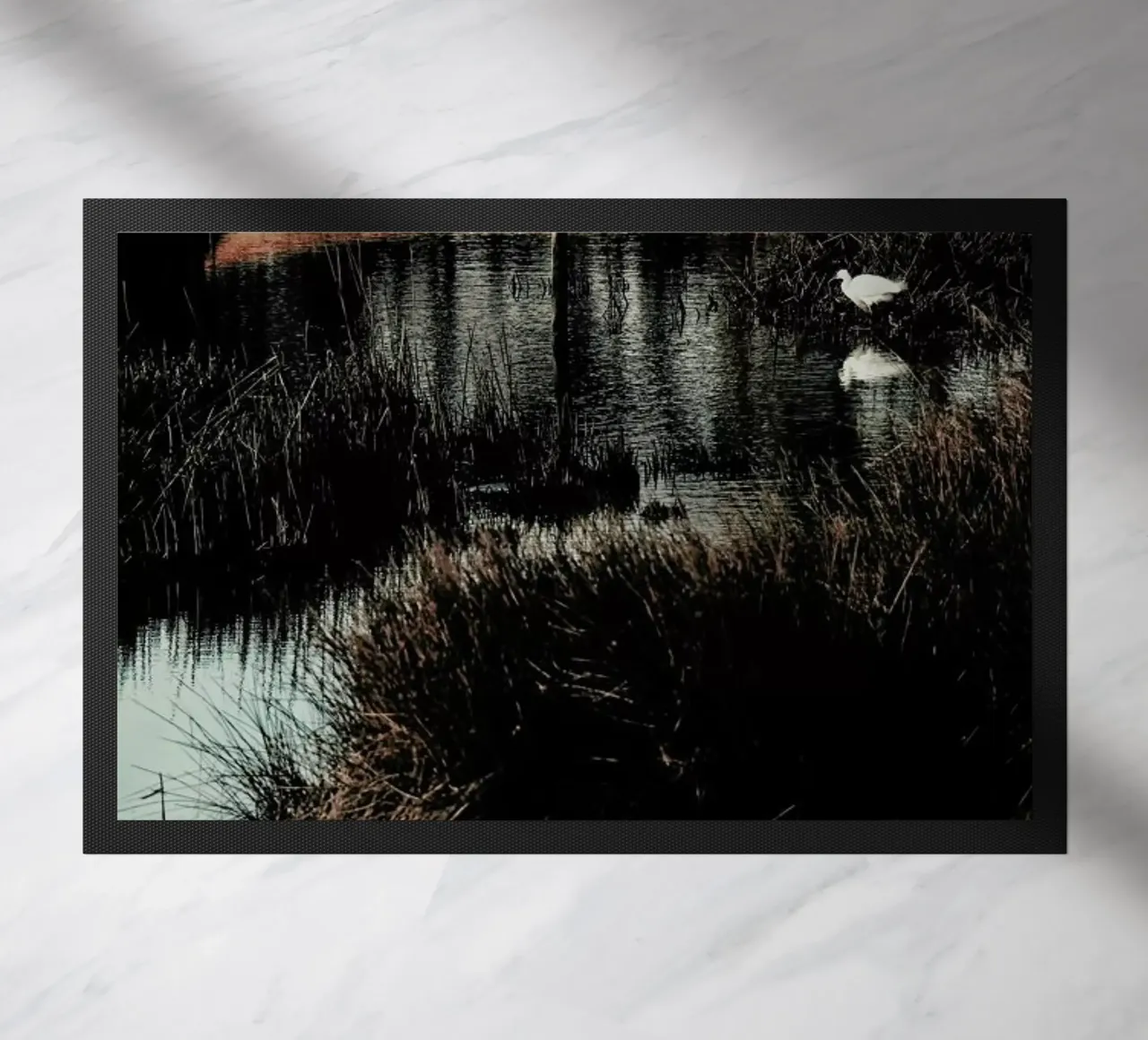 Solitude zerbino da Ingrid Beddoes