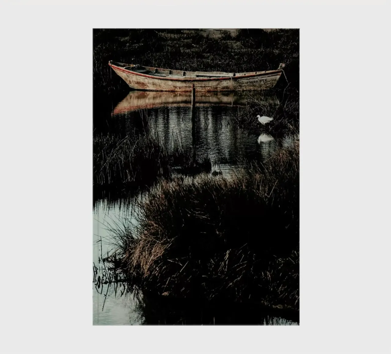 Solitude notebook by Ingrid Beddoes