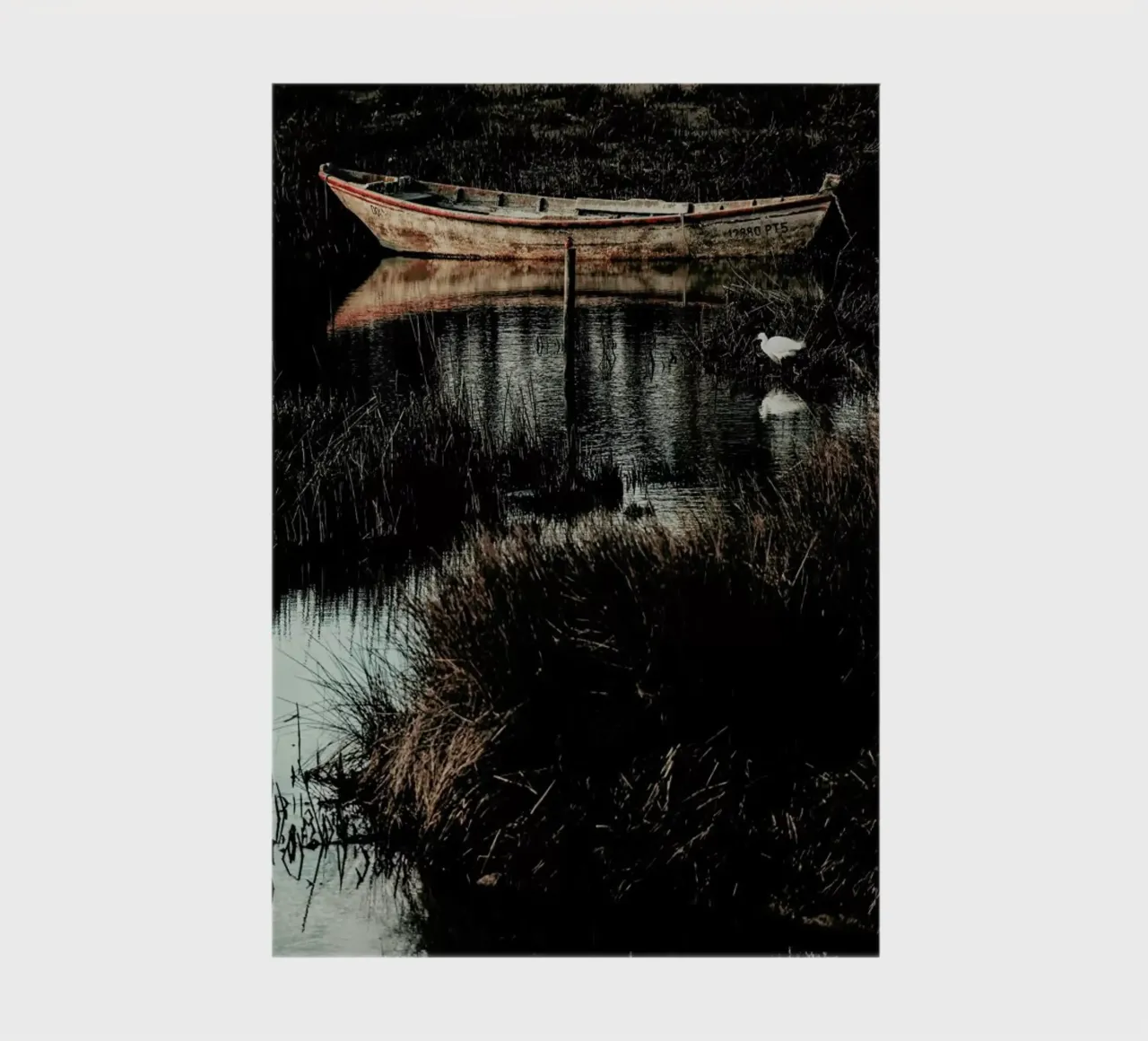 Solitude notebook by Ingrid Beddoes
