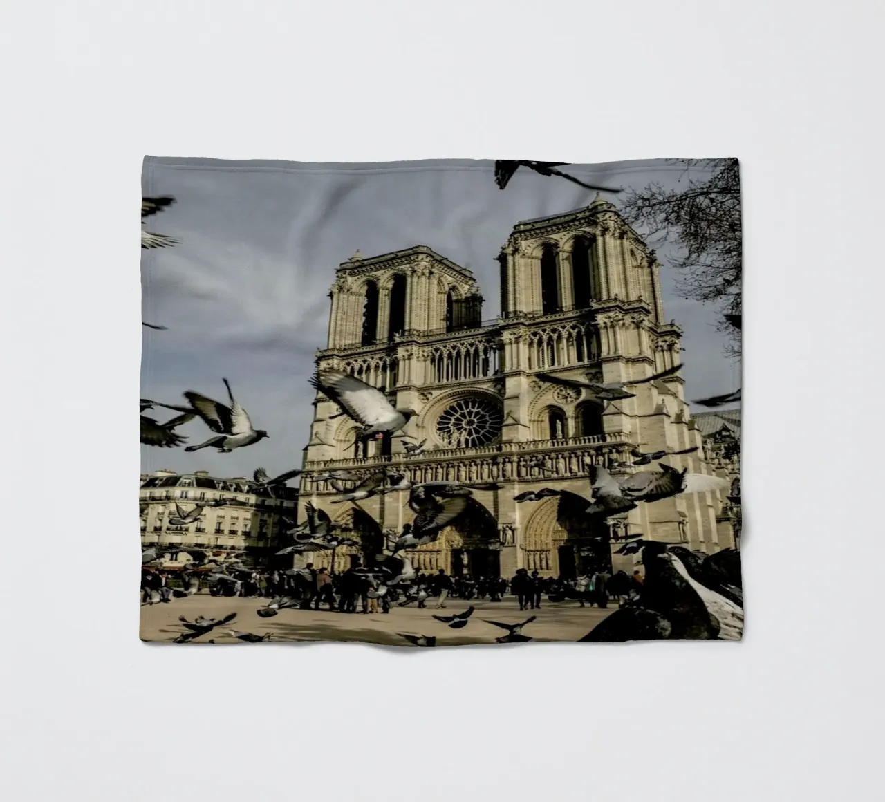 The Birds of Notre Dame by Michael Kraus coperta in pile da EyeEm Mobile GmbH