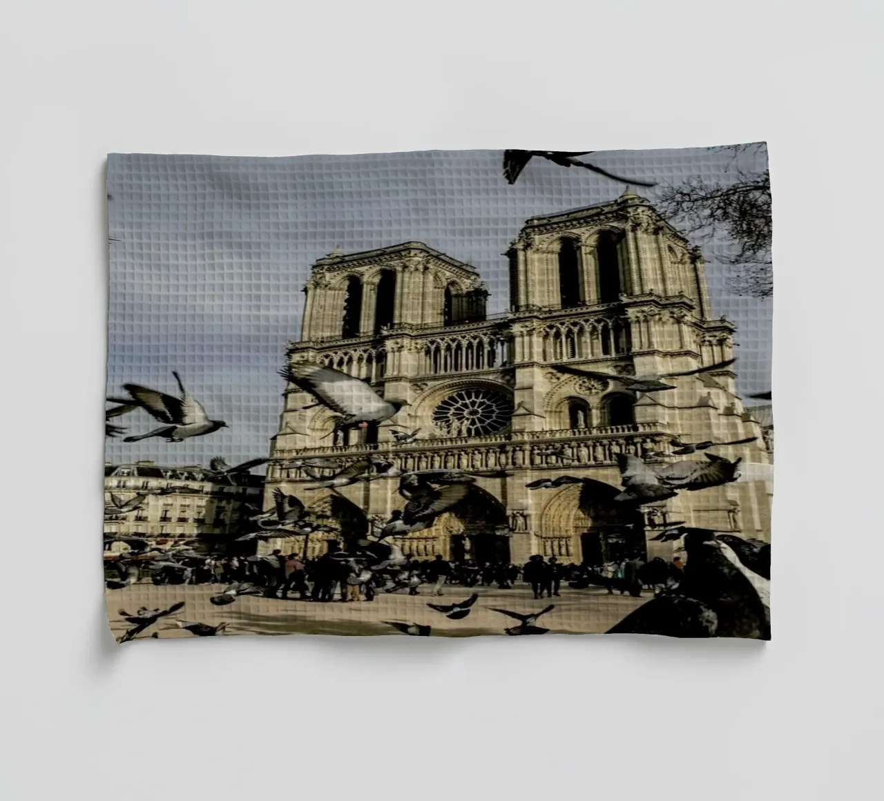 The Birds of Notre Dame by Michael Kraus canovaccio da cucina da EyeEm Mobile GmbH