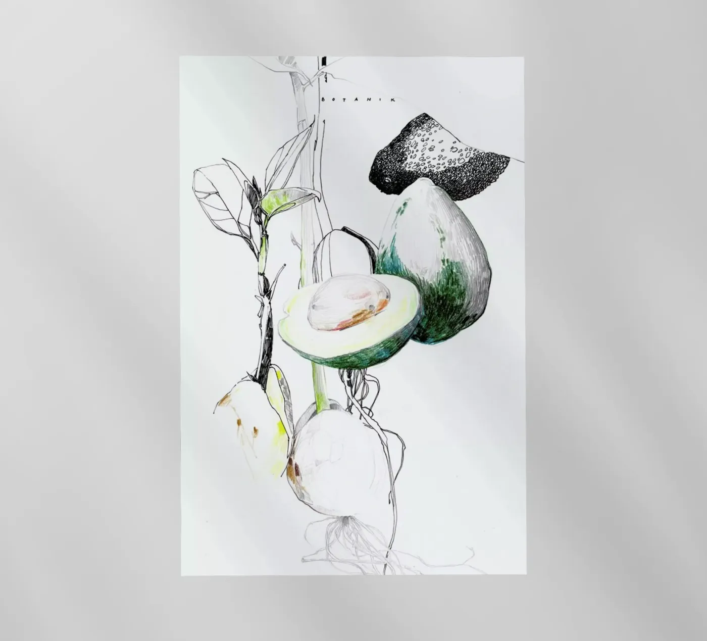 Avocado pellicola backlit da Mala Alani