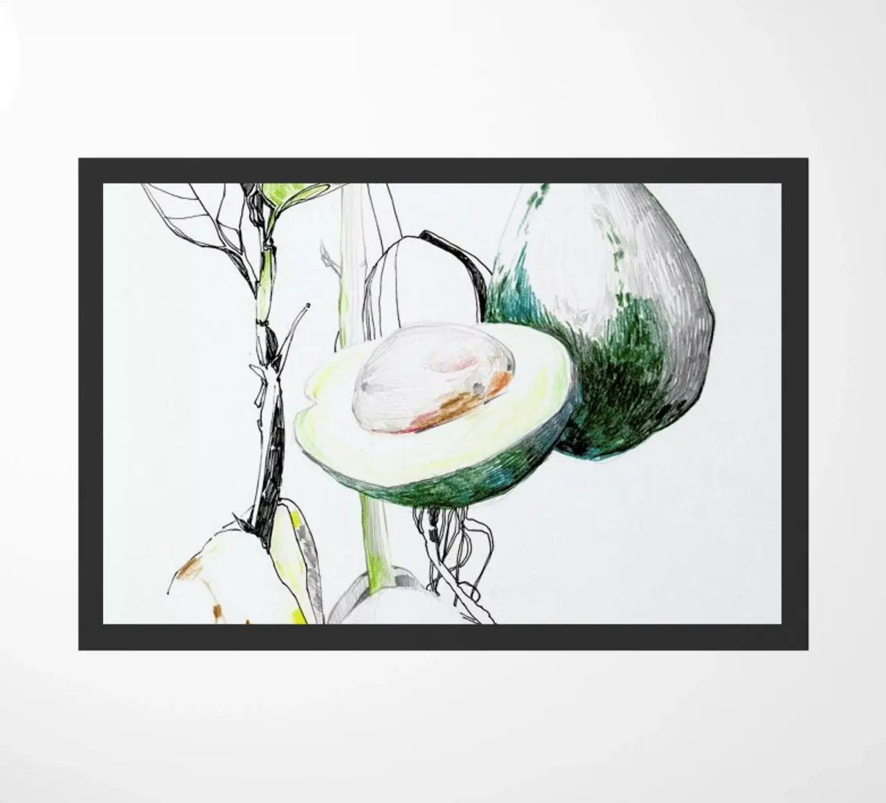 Avocado zerbino da Mala Alani