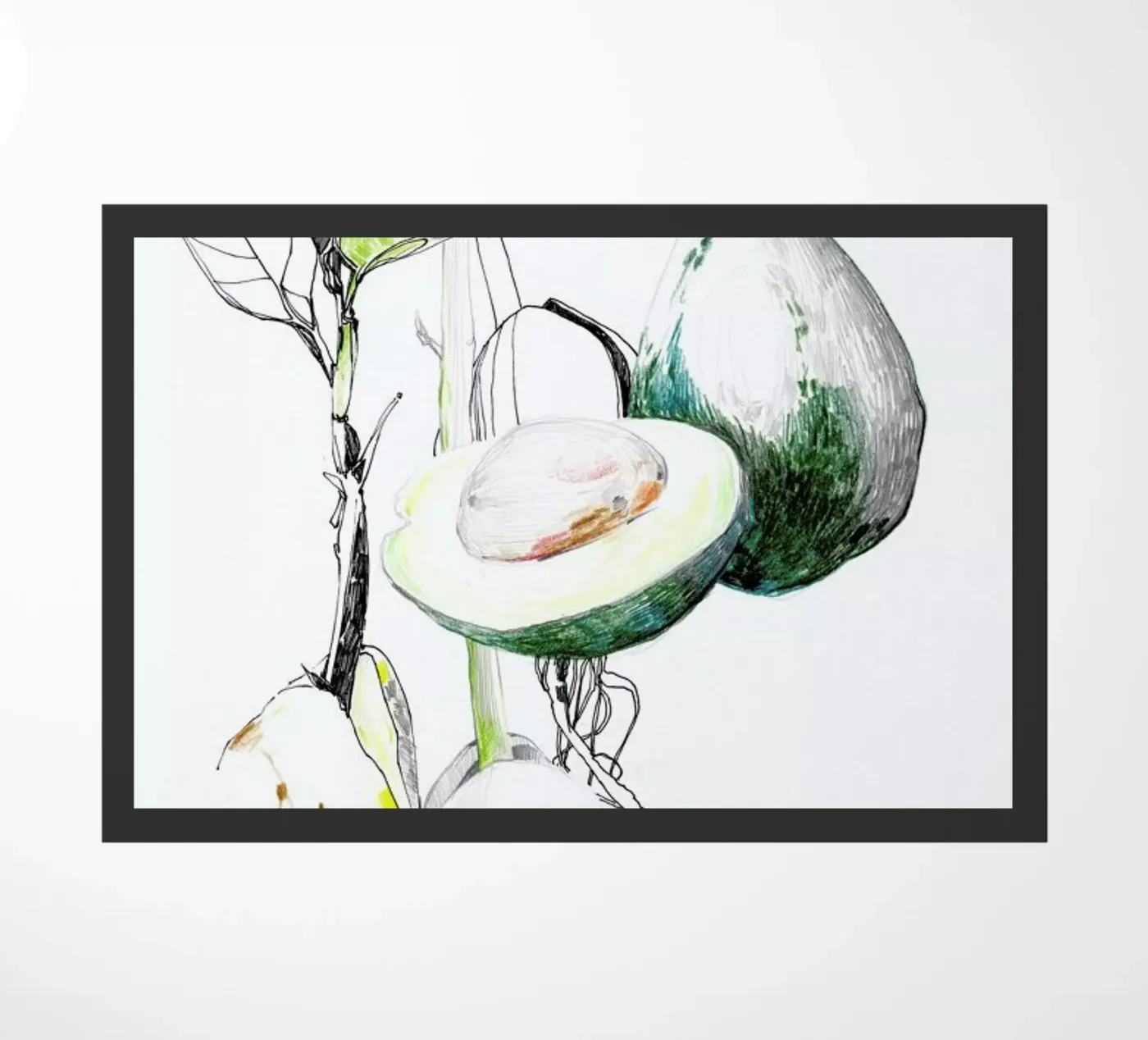 Avocado zerbino da Mala Alani