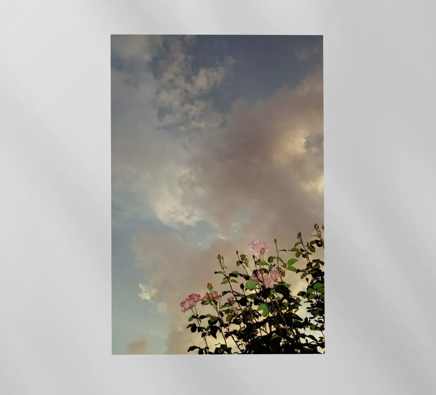 Falls pellicola backlit da Picture On The Fridge