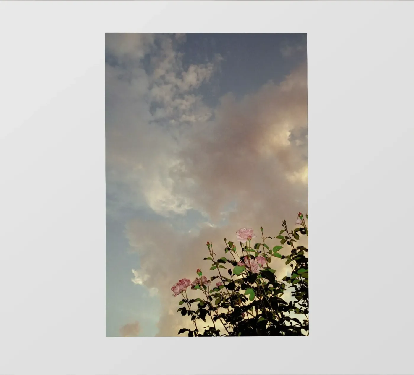 Falls pellicola backlit da Picture On The Fridge