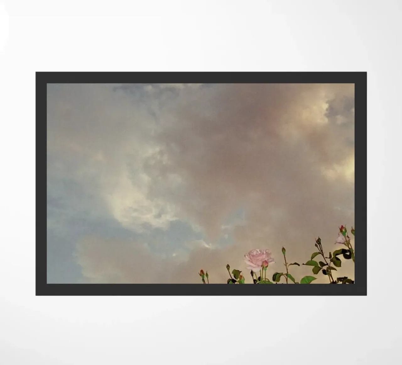 Falls zerbino da Picture On The Fridge