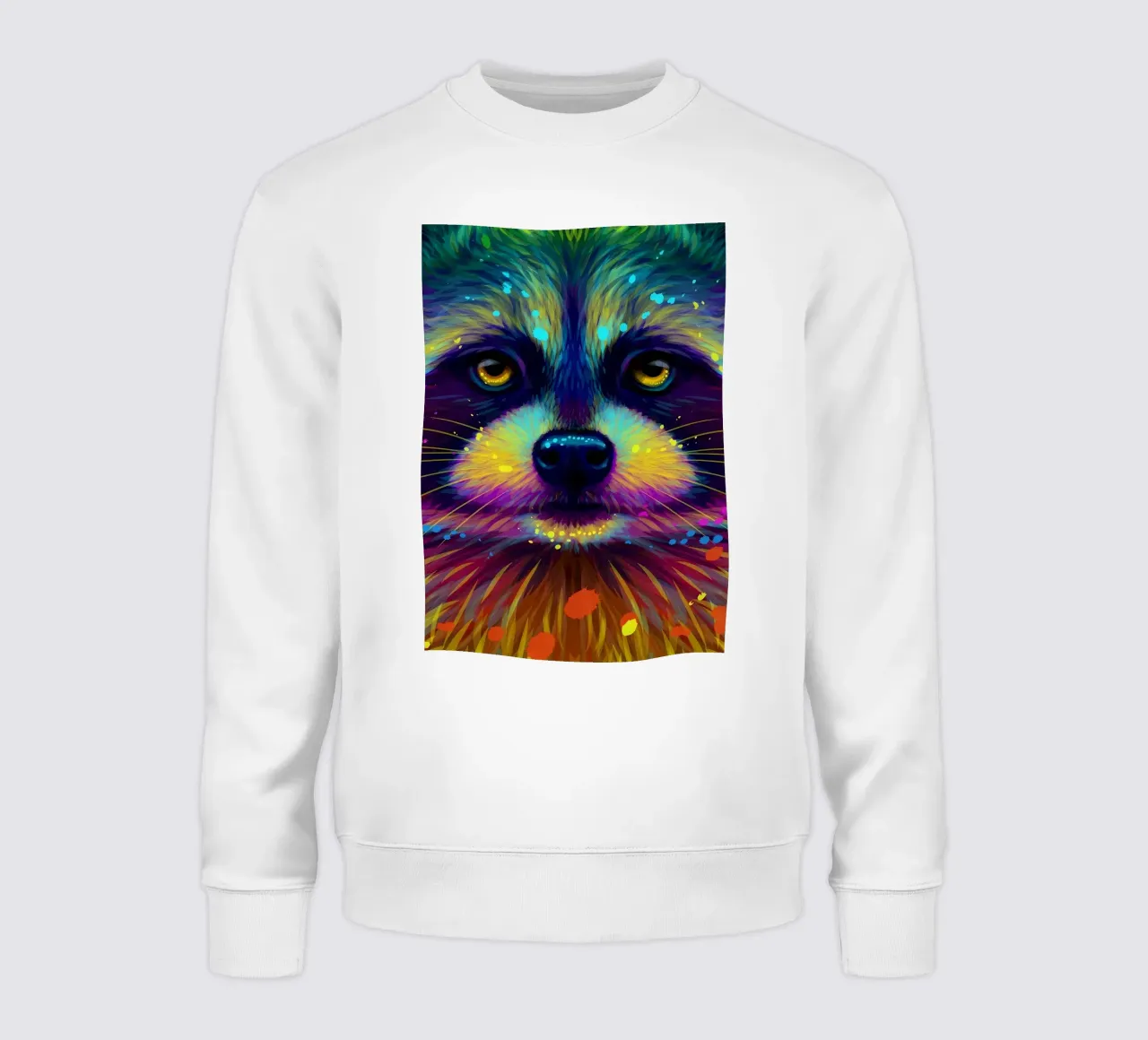 Procione colorato felpa da Delaplane