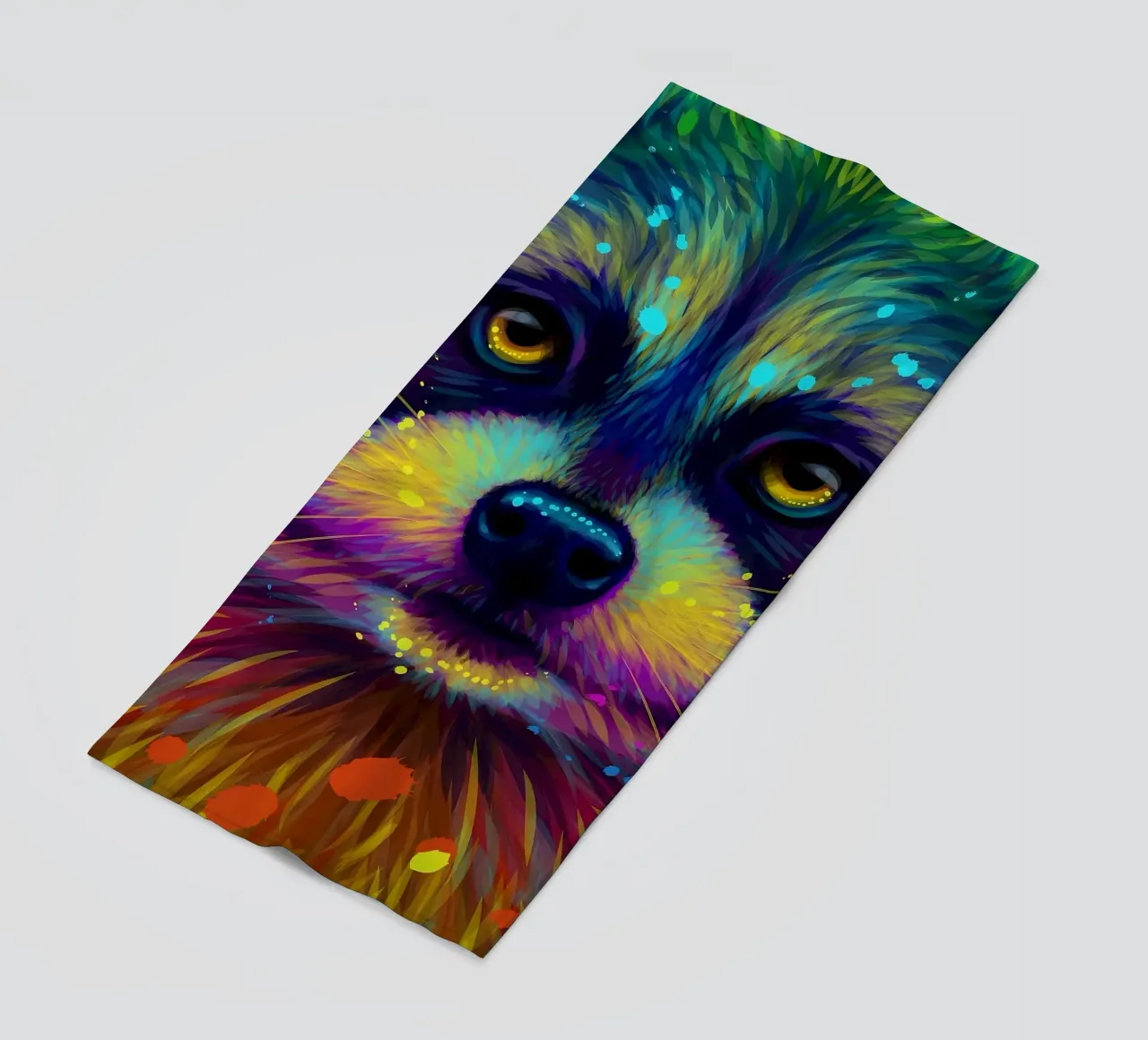 Procione colorato telo mare da Delaplane