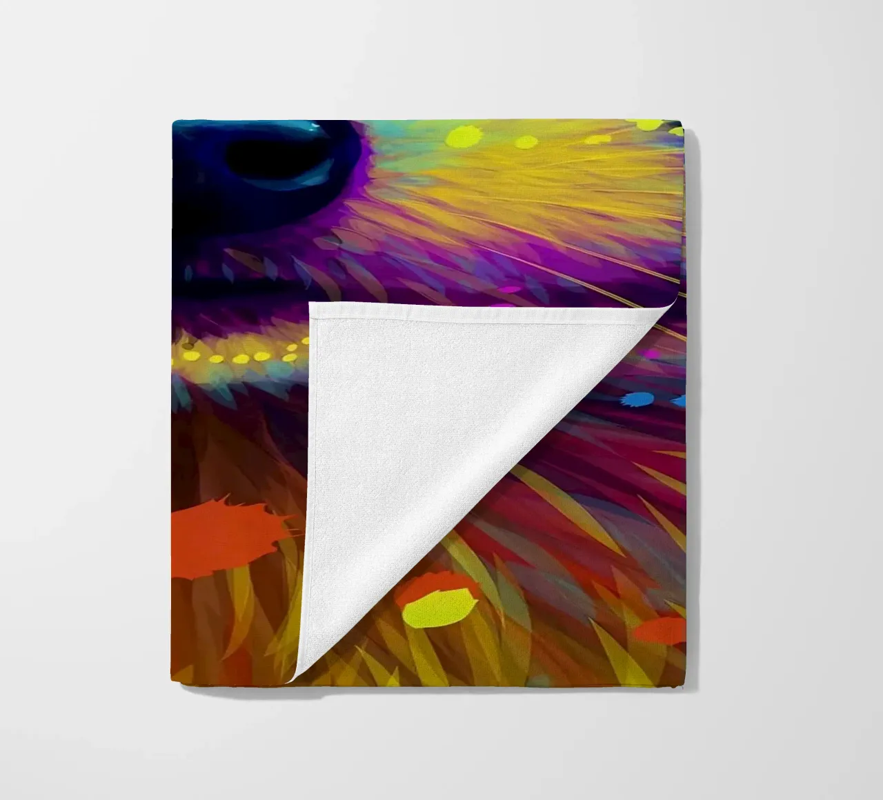 Procione colorato telo mare da Delaplane