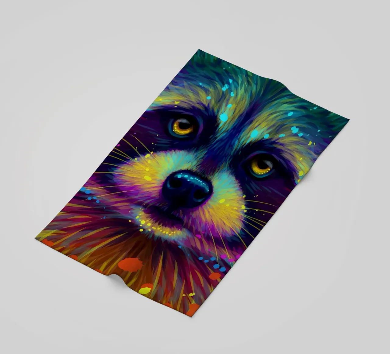 Procione colorato telo mare da Delaplane