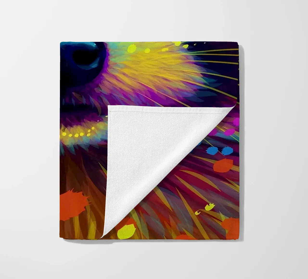 Procione colorato telo mare da Delaplane