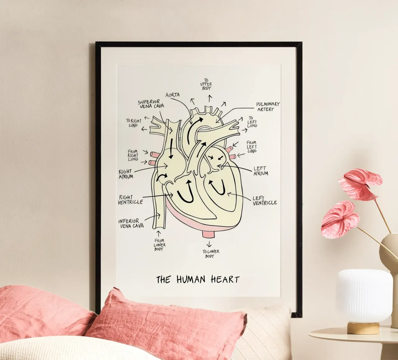 Anatomia del cuore carta hahnemühle da Mikesell