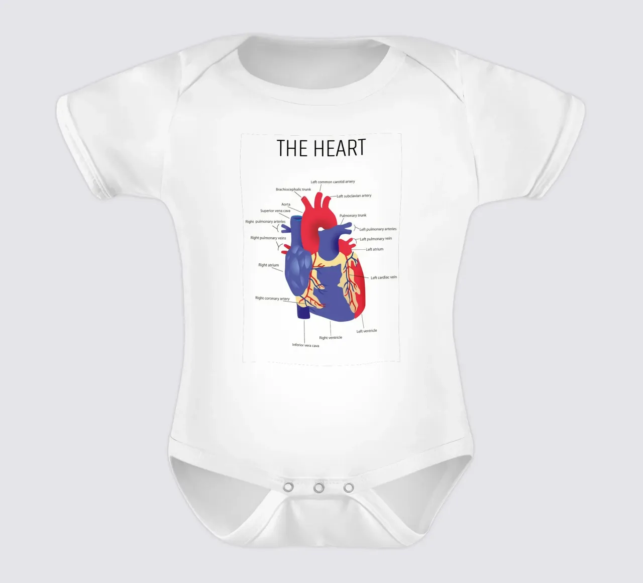 Anatomia del cuore body neonato maniche corte da Mikesell