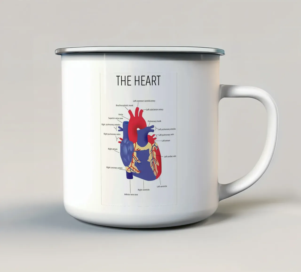Anatomia del cuore tazza in smalto da Mikesell