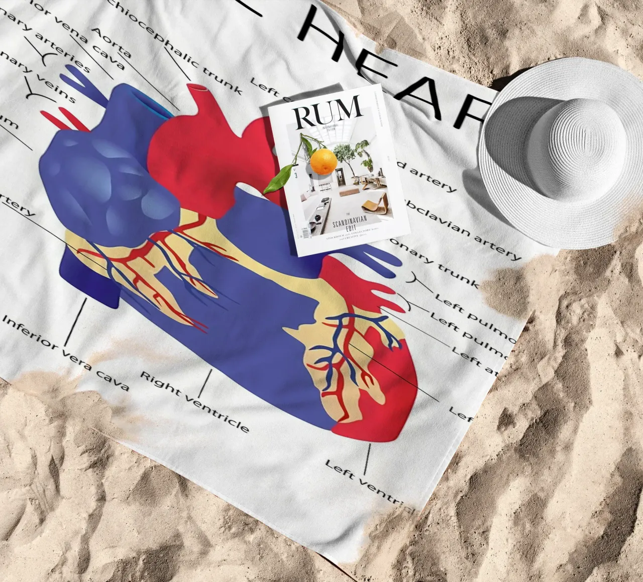 Anatomia del cuore telo mare da Mikesell