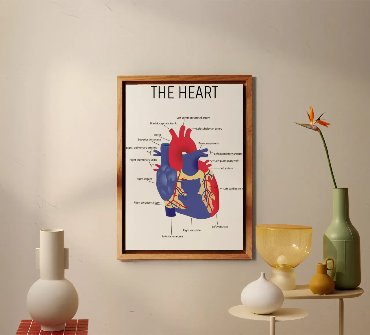 Anatomia del cuore alluminio dibond da Mikesell