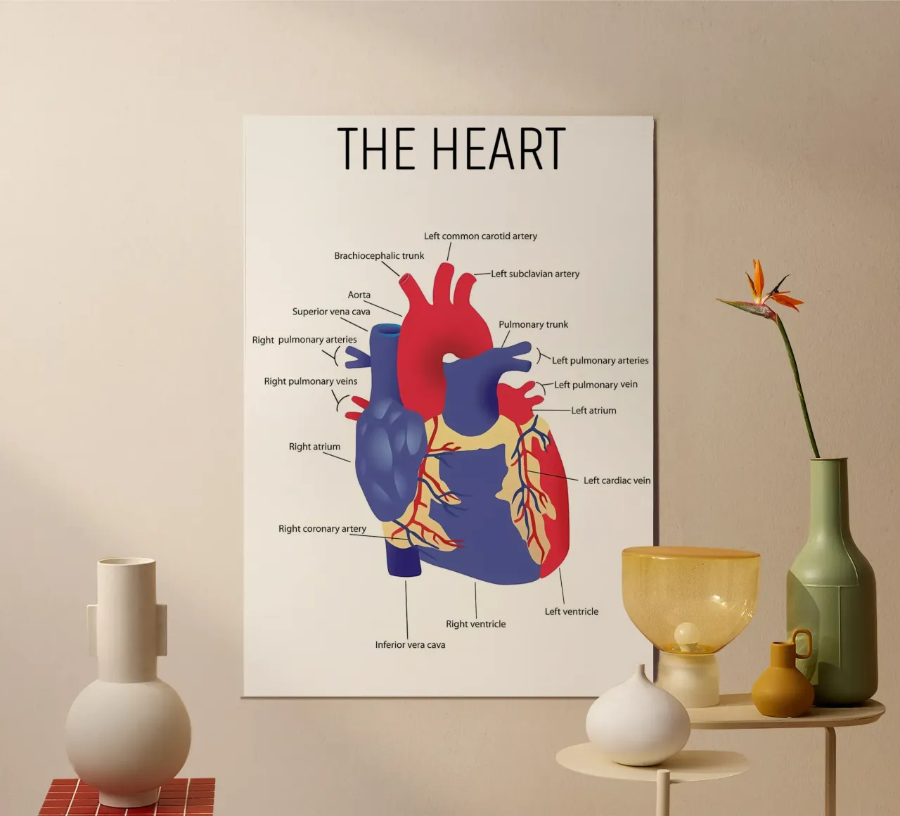 Anatomia del cuore alluminio dibond da Mikesell