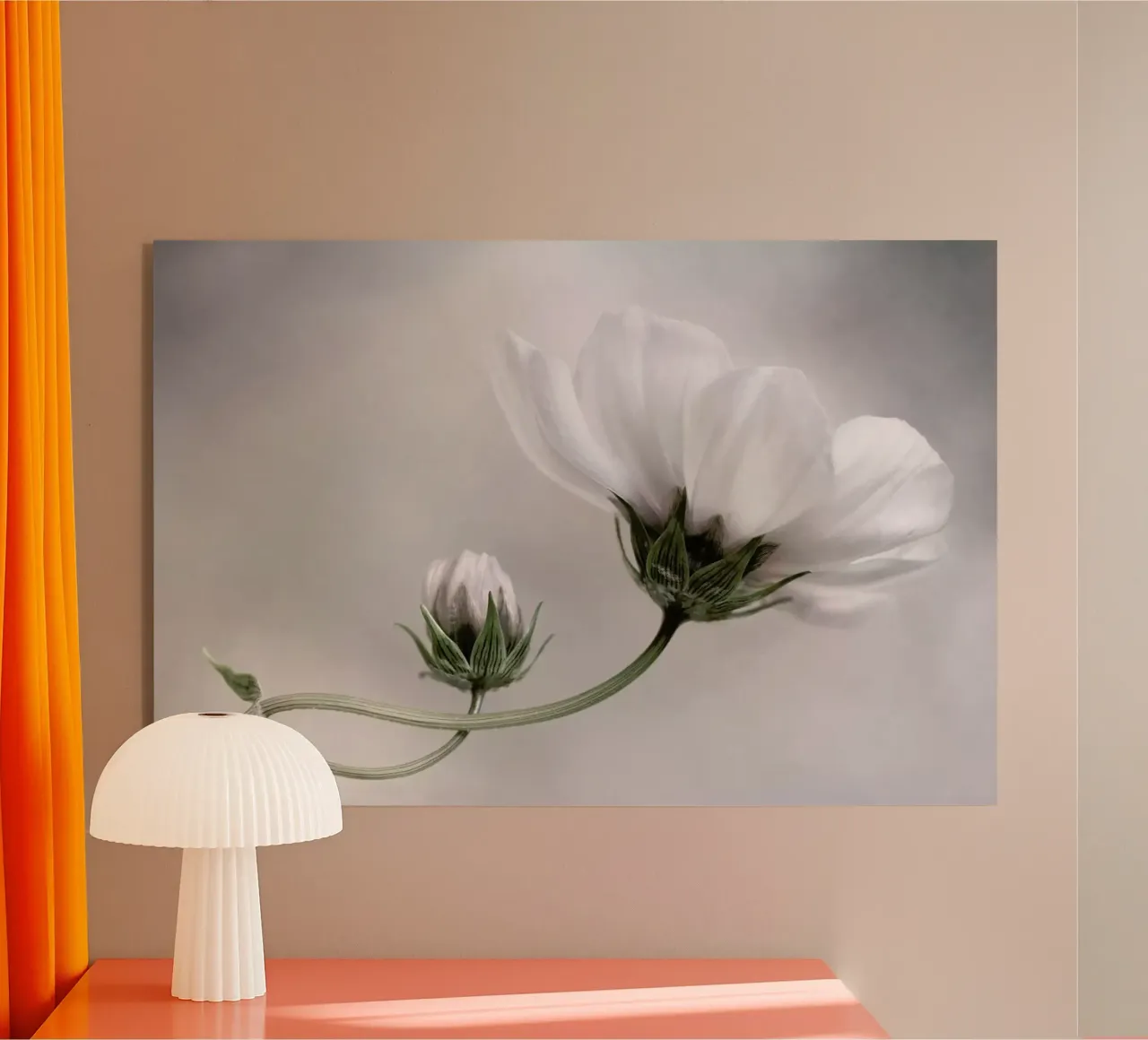 Semplicemente Cosmos - Mandy Disher plexiglass da Pictufy