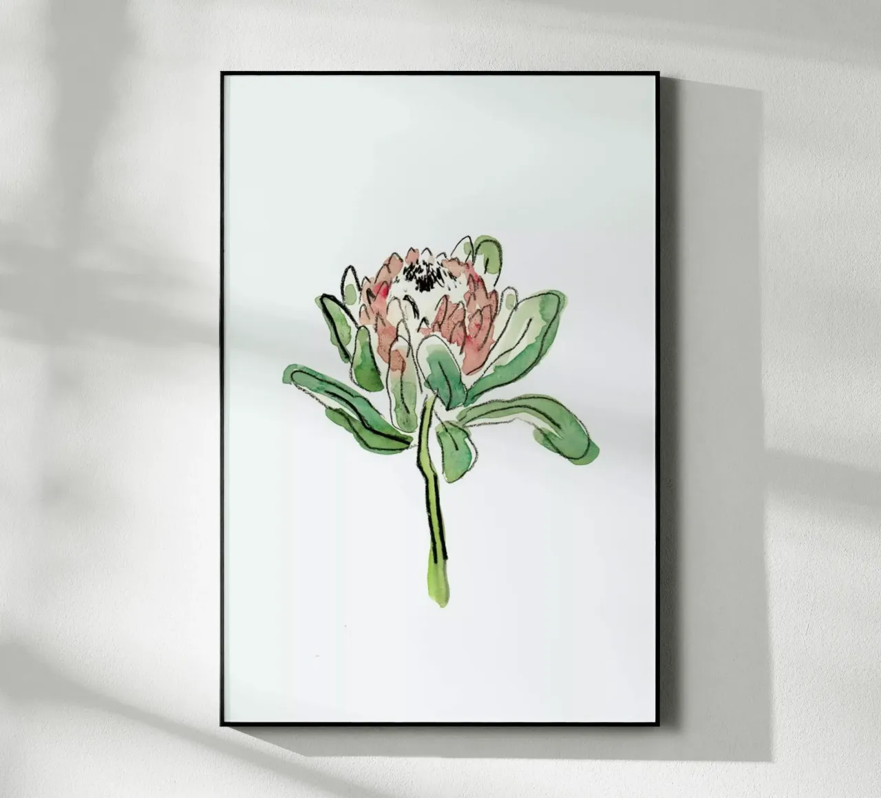 Protea Acryl-Glas von Farina Kuklinski