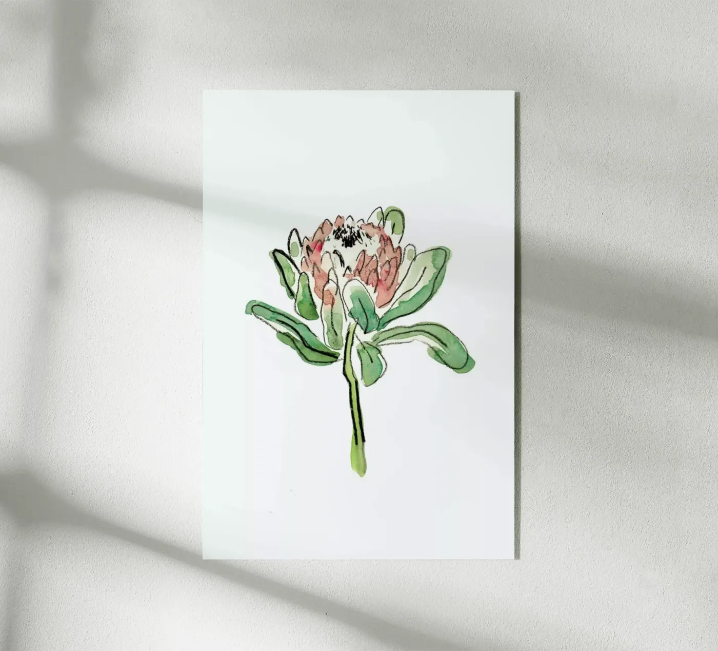 Protea plexiglas de Farina Kuklinski