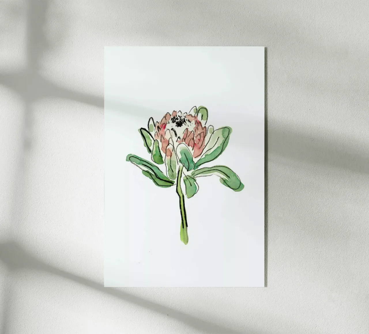 Protea Acryl-Glas von Farina Kuklinski