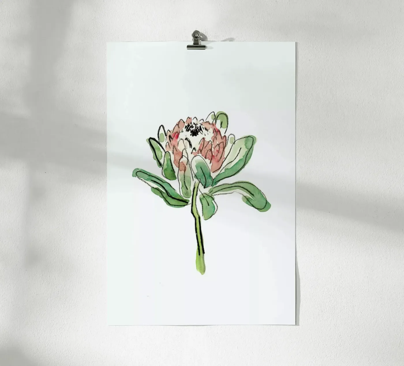 Protea Poster von Farina Kuklinski