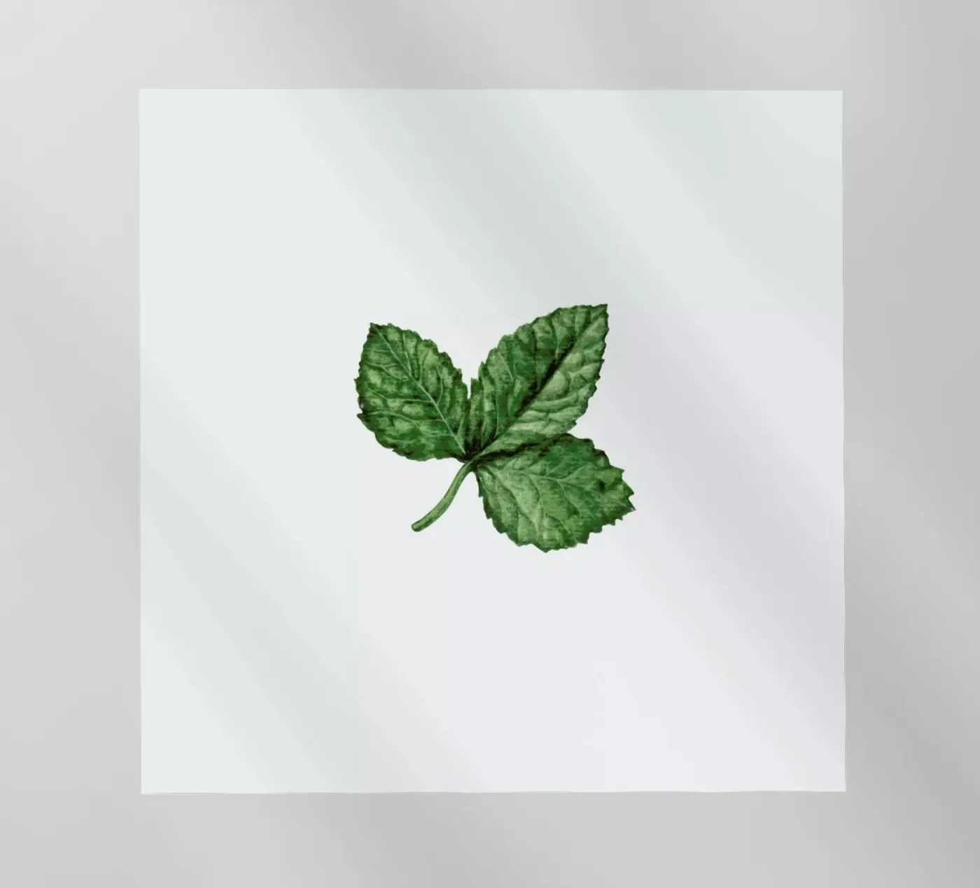 Strawberry Leaf backlit folie van Maria Vdovichenko