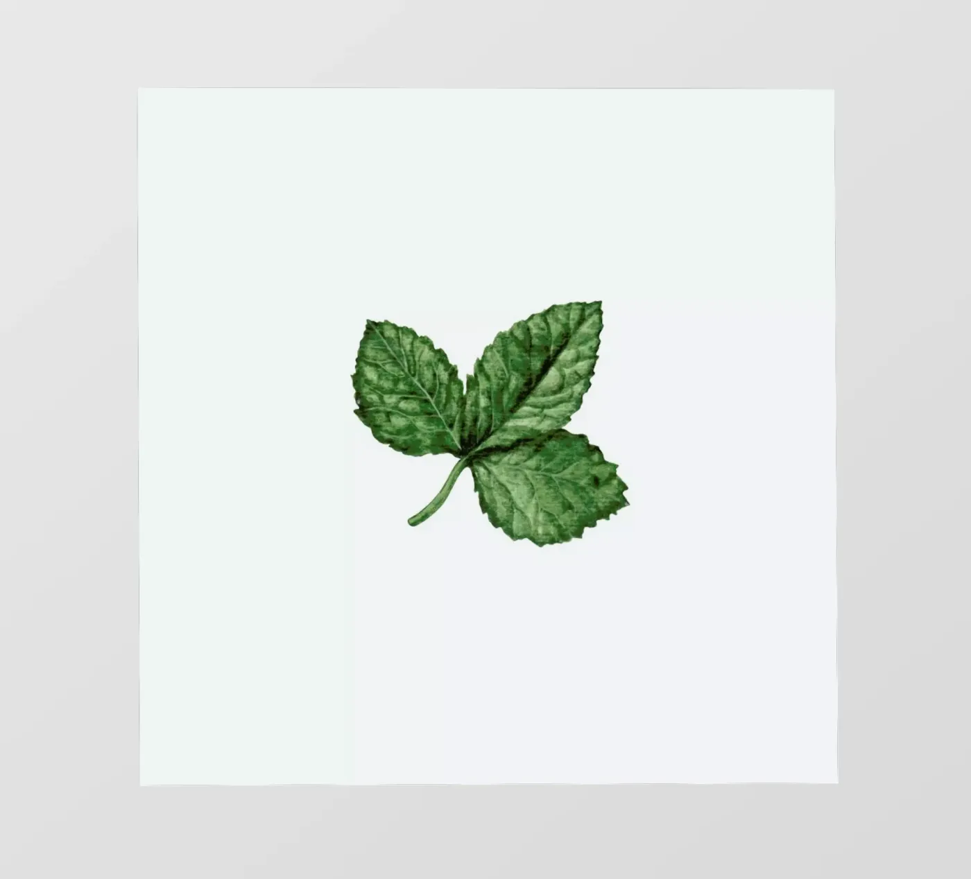 Strawberry Leaf backlit folie van Maria Vdovichenko