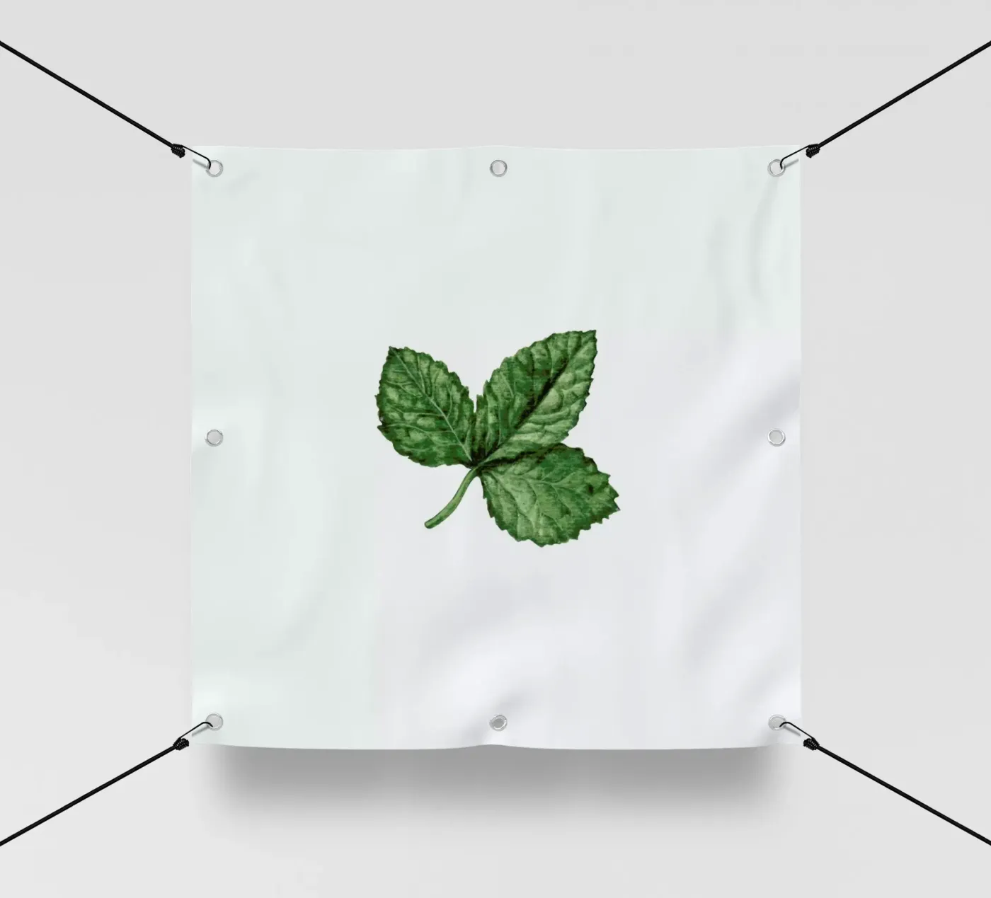 Strawberry Leaf pvc cover by Maria Vdovichenko
