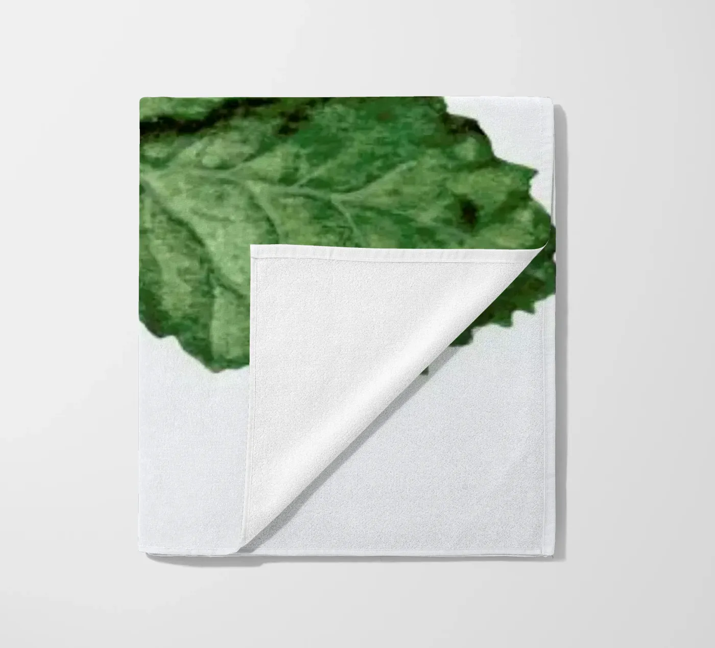 Strawberry Leaf strandhanddoek van Maria Vdovichenko