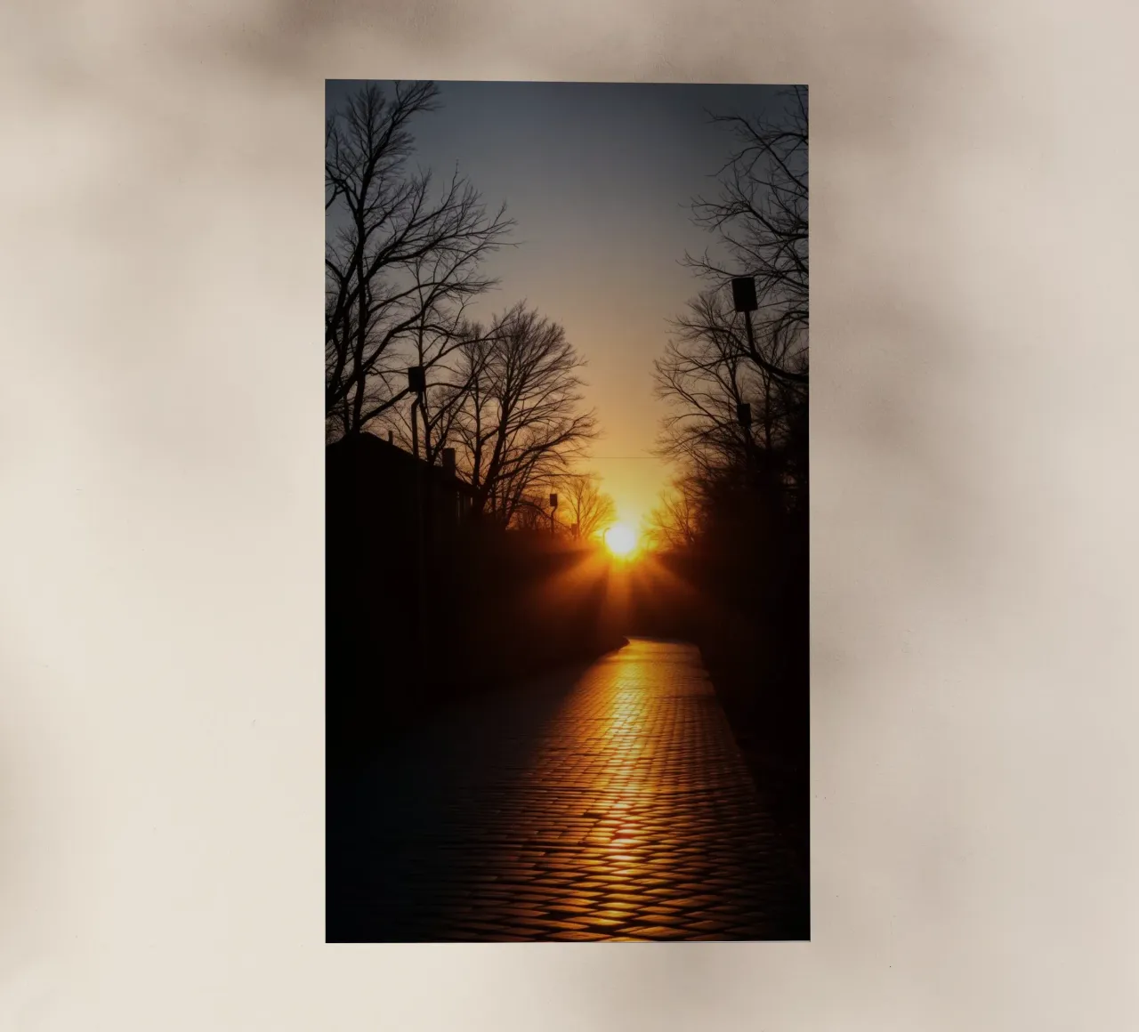 Sunset view along a tree-lined pathway with warm hues backlit film by DesignDoodle